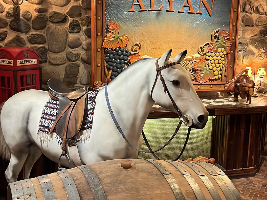 Alyan Family Wines-Pirque必去景点