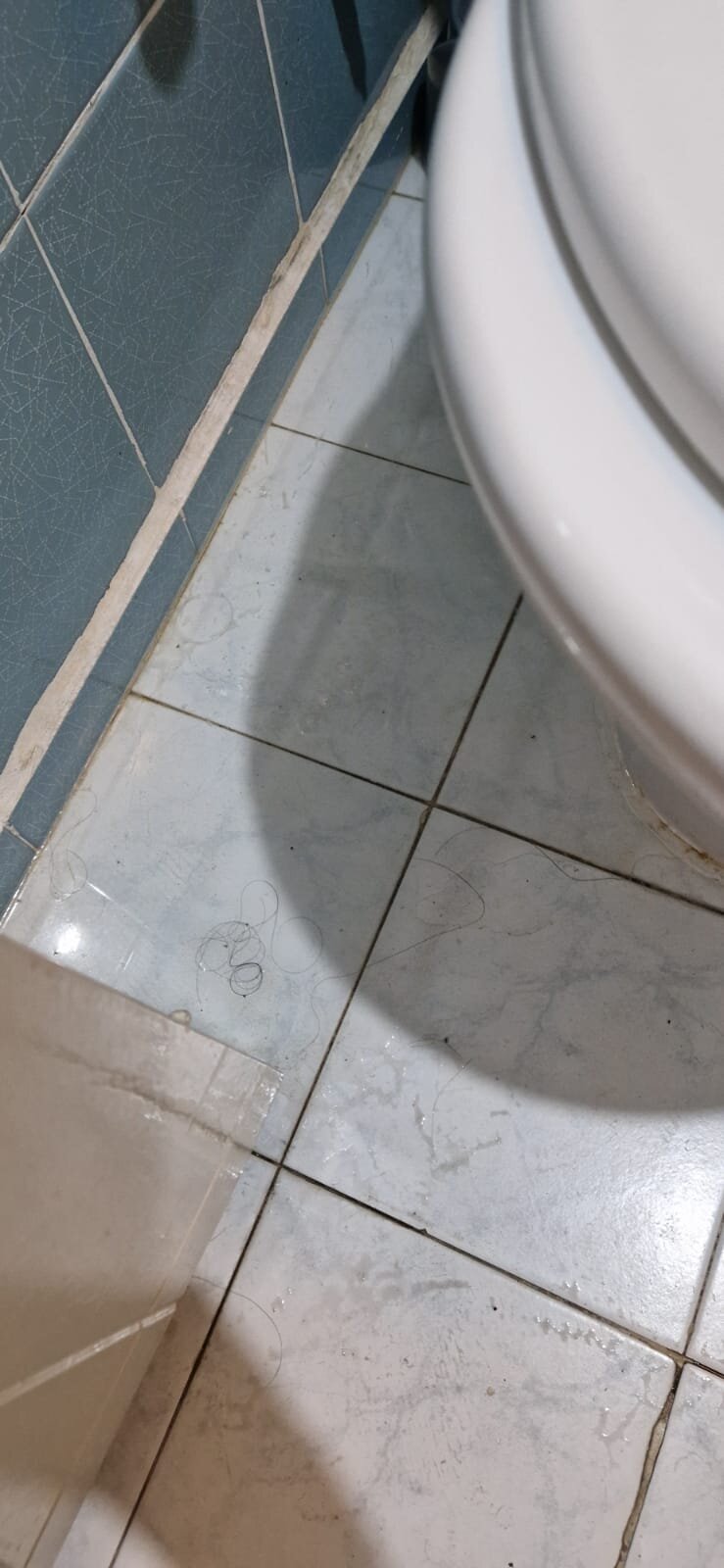 俱乐部中庭酒店-官方