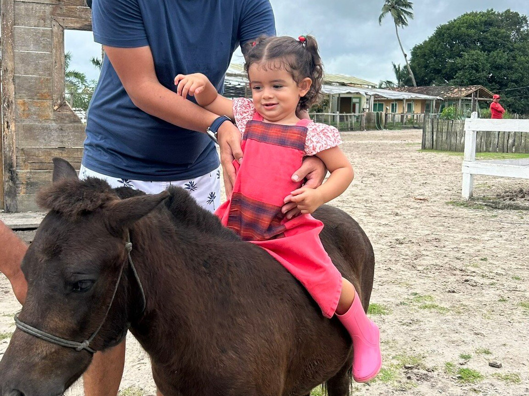 Hotel Fazenda Vitoria主图