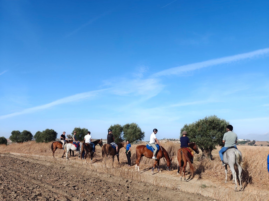 Al-Mesquid Stables-Sanlucar de Barrameda必去景点