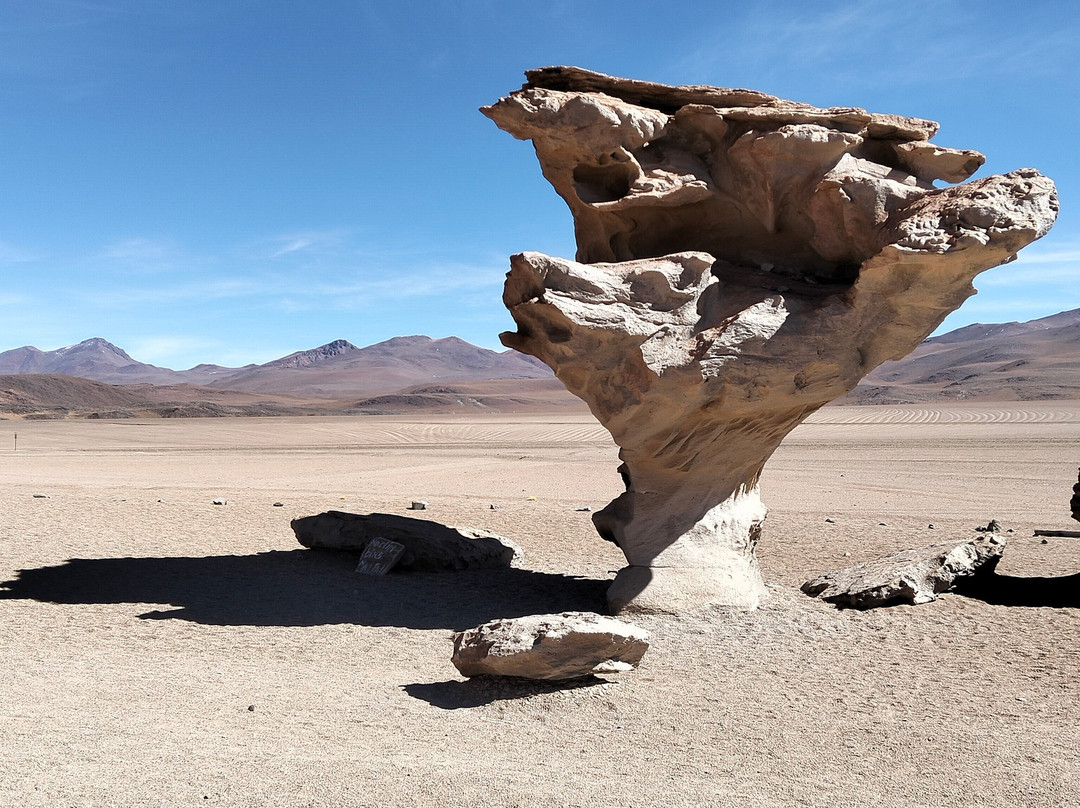 Hi Bolivia! Travel & Tours-拉巴斯必去景点