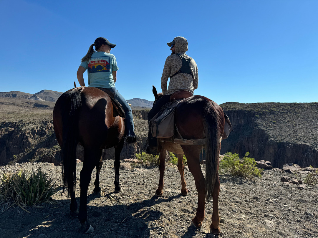 Big Bend & Lajitas Stables-Terlingua必去景点