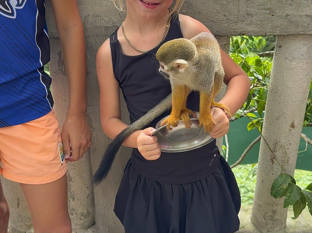 Monkeyland-Higuey必去景点