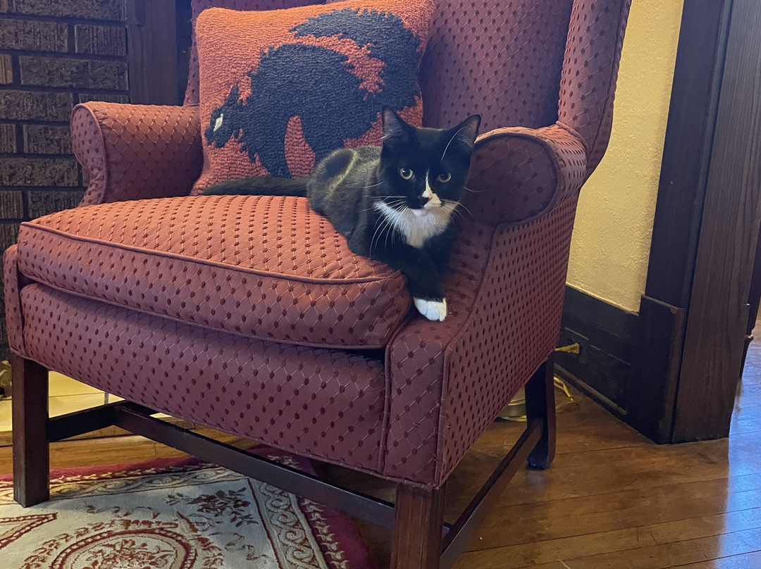 Talwood Manor Bed and Breakfast主图