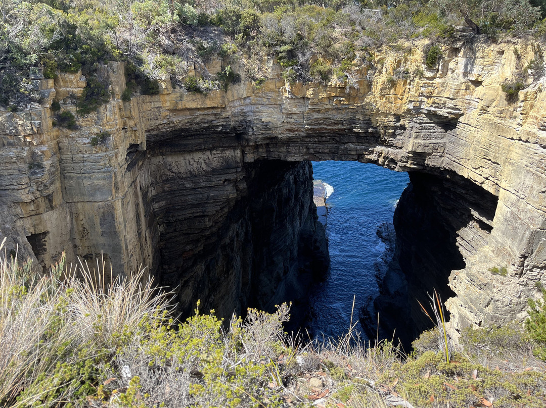 Tasmans Arch-伊格尔霍克内克必去景点