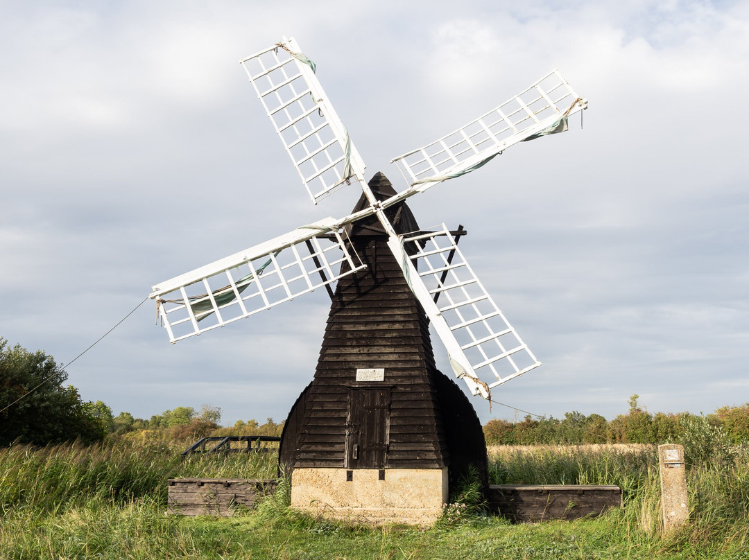 Wicken Fen National Nature Reserve-伊利必去景点