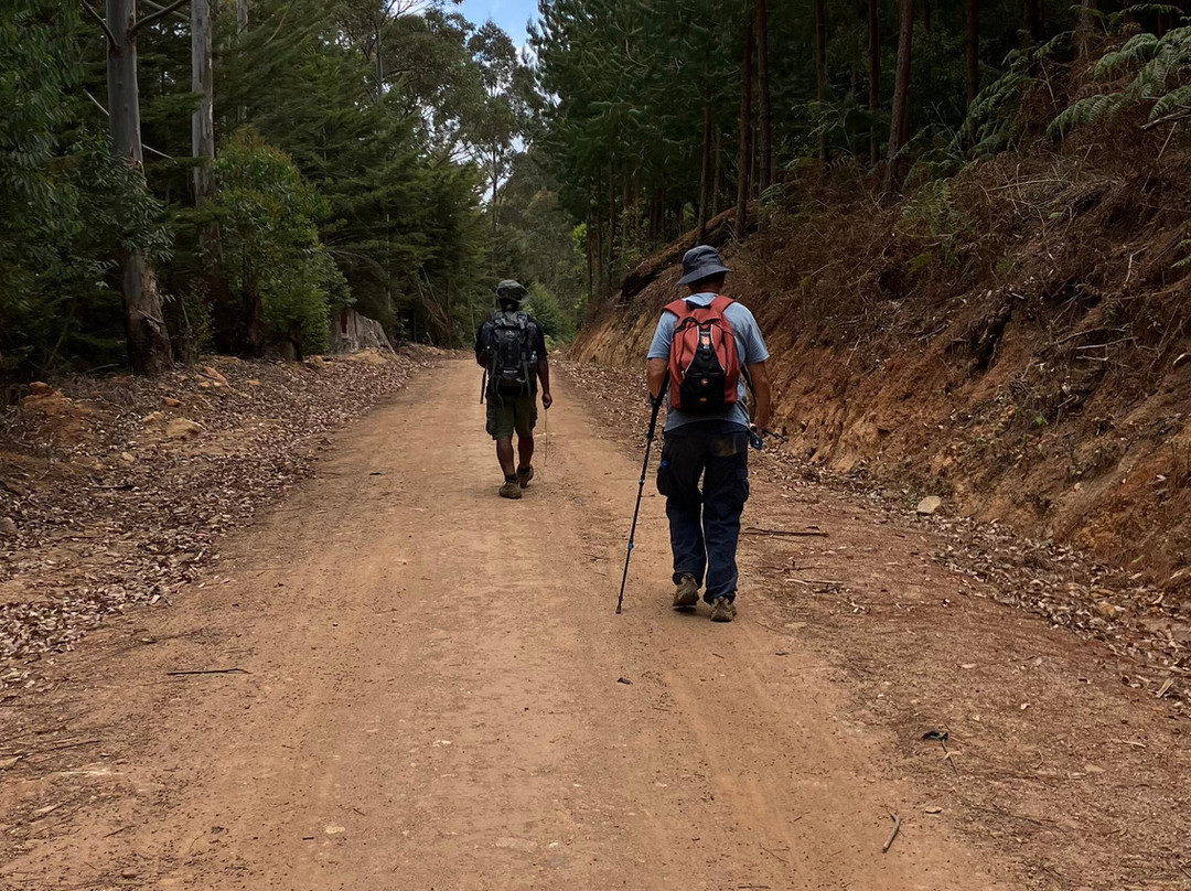 Africasana tours and safaris company-莫洛哥罗必去景点