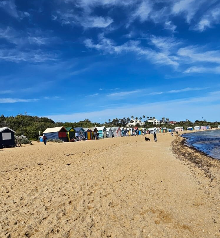 Dendy Street Beach-布莱顿必去景点