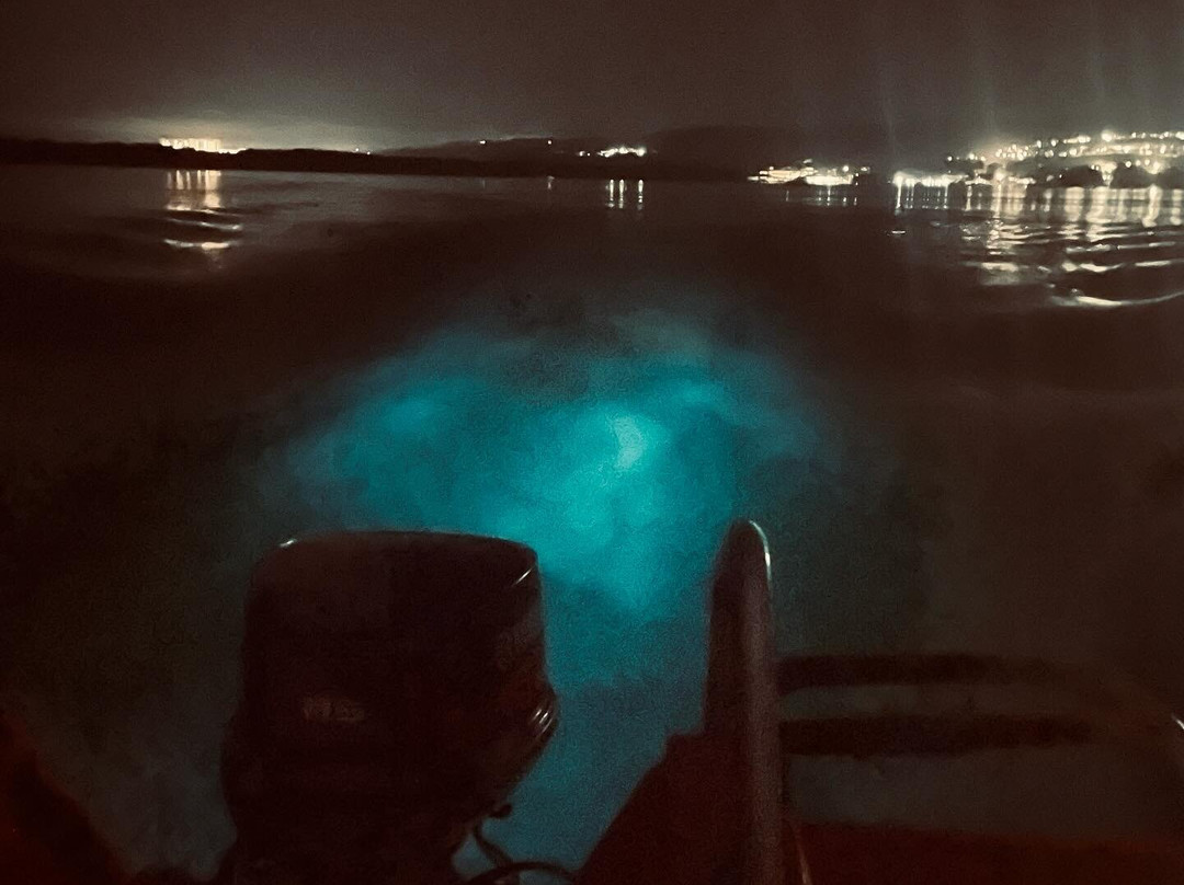 Glistening Waters Luminous Lagoon Tour-法尔茅斯必去景点
