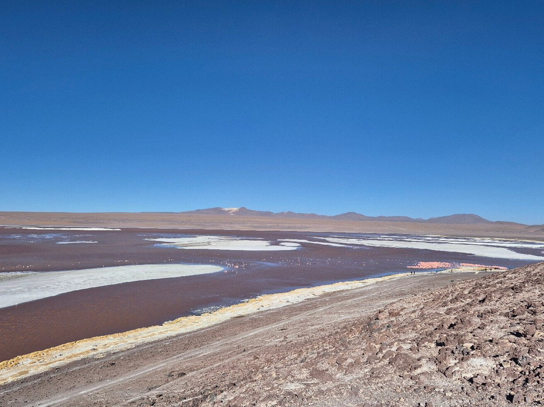 La Torre Tours-Tupiza必去景点