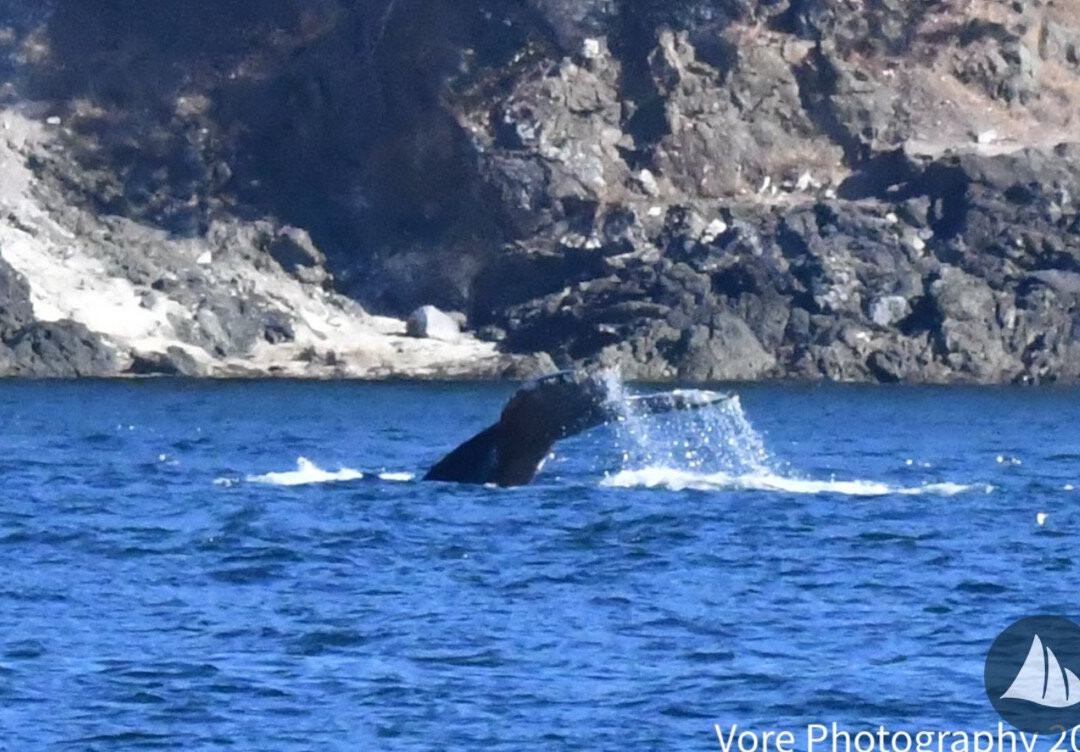 Deer Harbor Charters-Deer Harbor必去景点