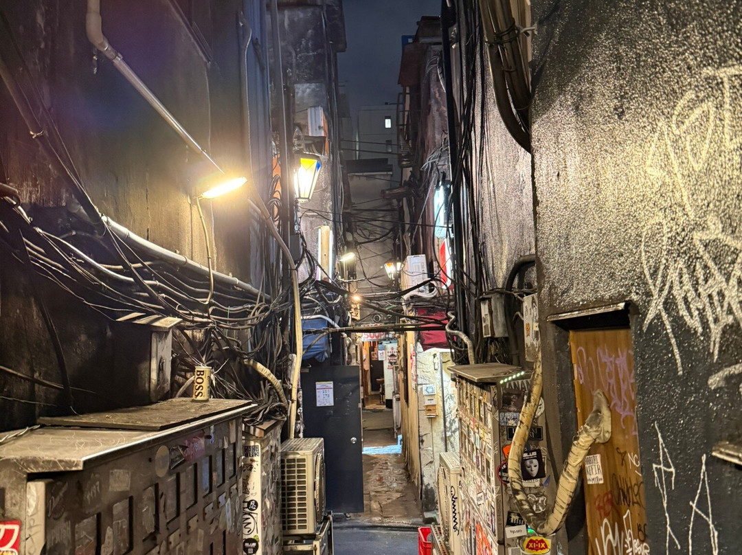 新宿黄金街-Kabukicho必去景点