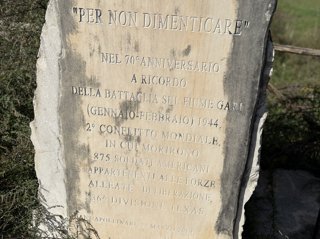 Monte Cassino Battlefield Tours By Dr. Danila Bracaglia-卡西诺必去景点