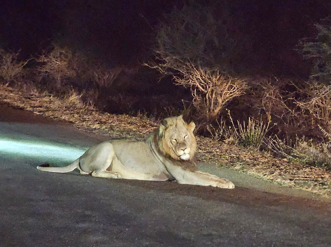 Royal Safaris-库马堤港必去景点