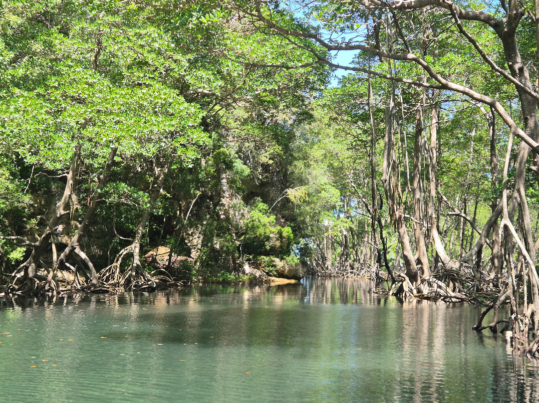 Booking Adventures-Sabana de la Mar必去景点