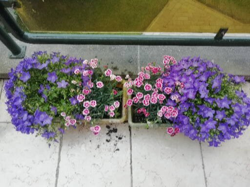 特尔菲伦赖斯特丽酒店主图