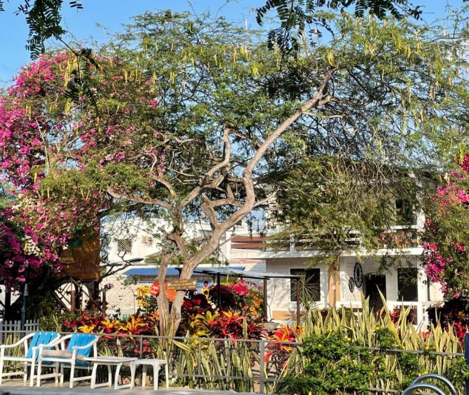 El Jardin