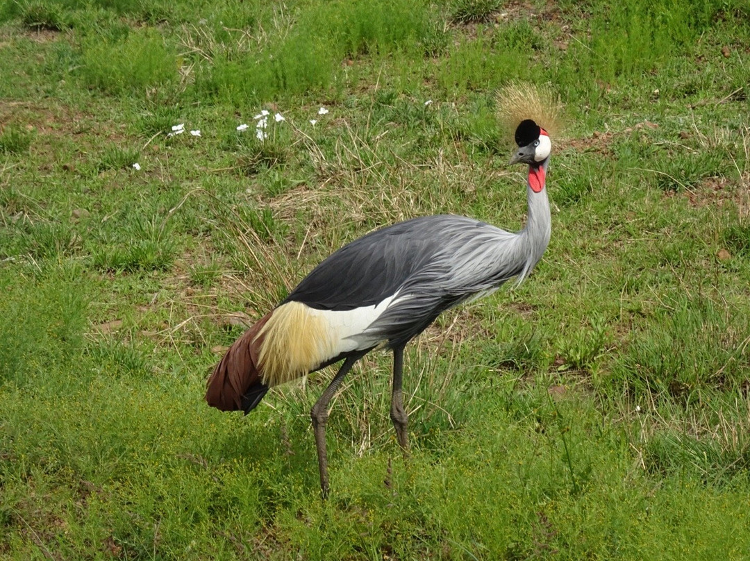 易捷旅游-一日游-阿鲁沙必去景点