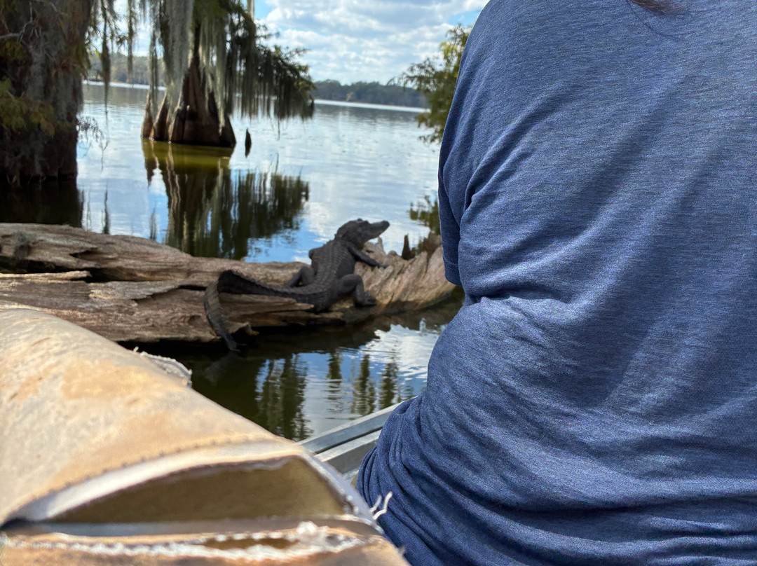 Louisiana Swamp Tours-布里奥克斯桥必去景点