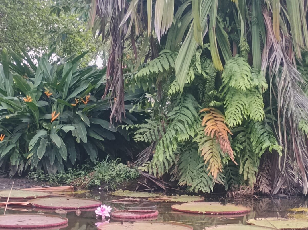 Parque Santander-莱蒂西亚必去景点