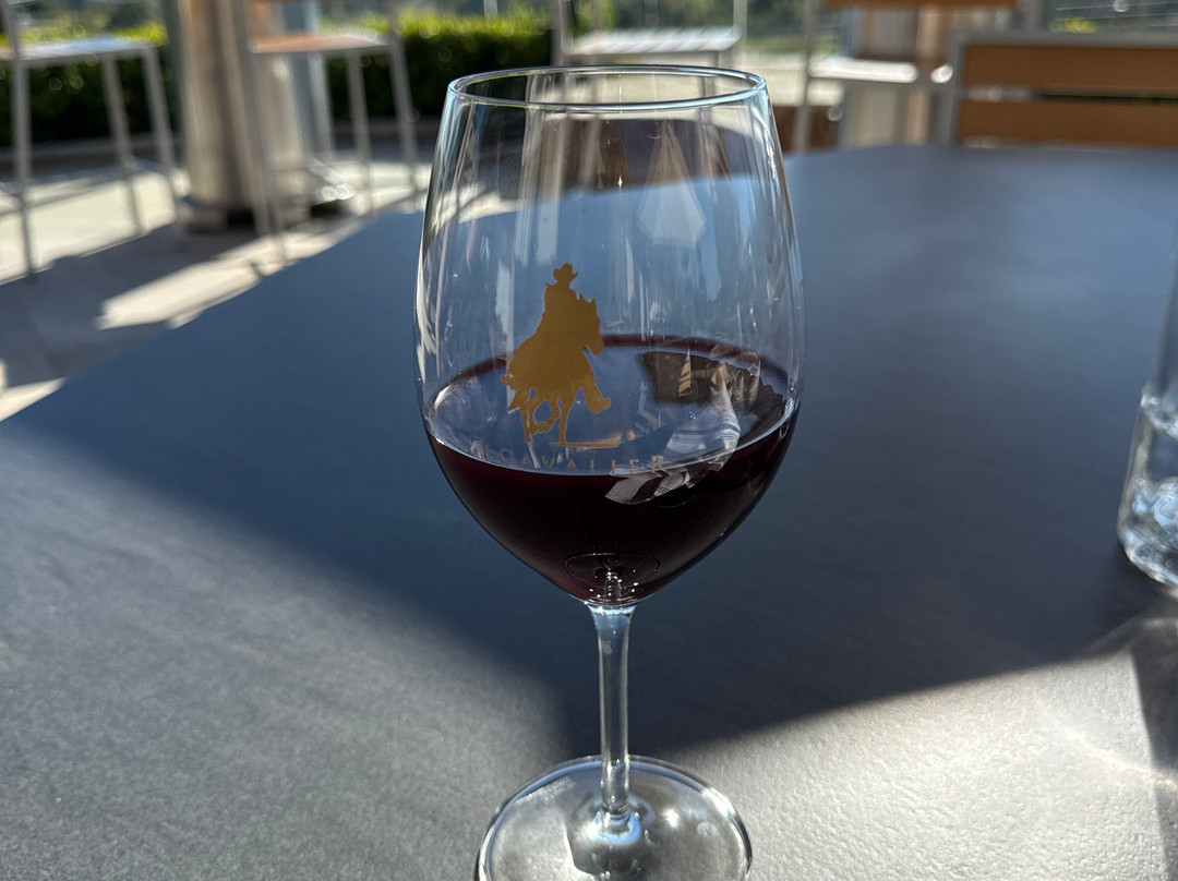 Podere La Marronaia- Le Colonne Biodynamic Winery & Farm-圣吉米尼亚诺必去景点