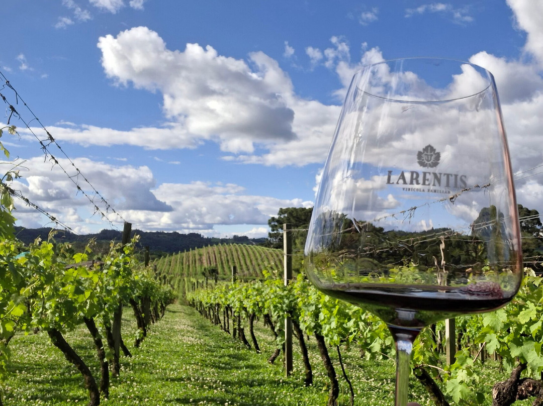 Vinhos Larentis-本图贡萨尔维斯必去景点