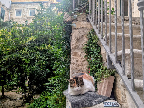 Tour4You-斯普利特必去景点