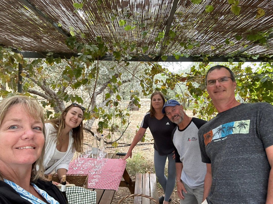 Lyrarakis Winery-伊拉克利翁必去景点
