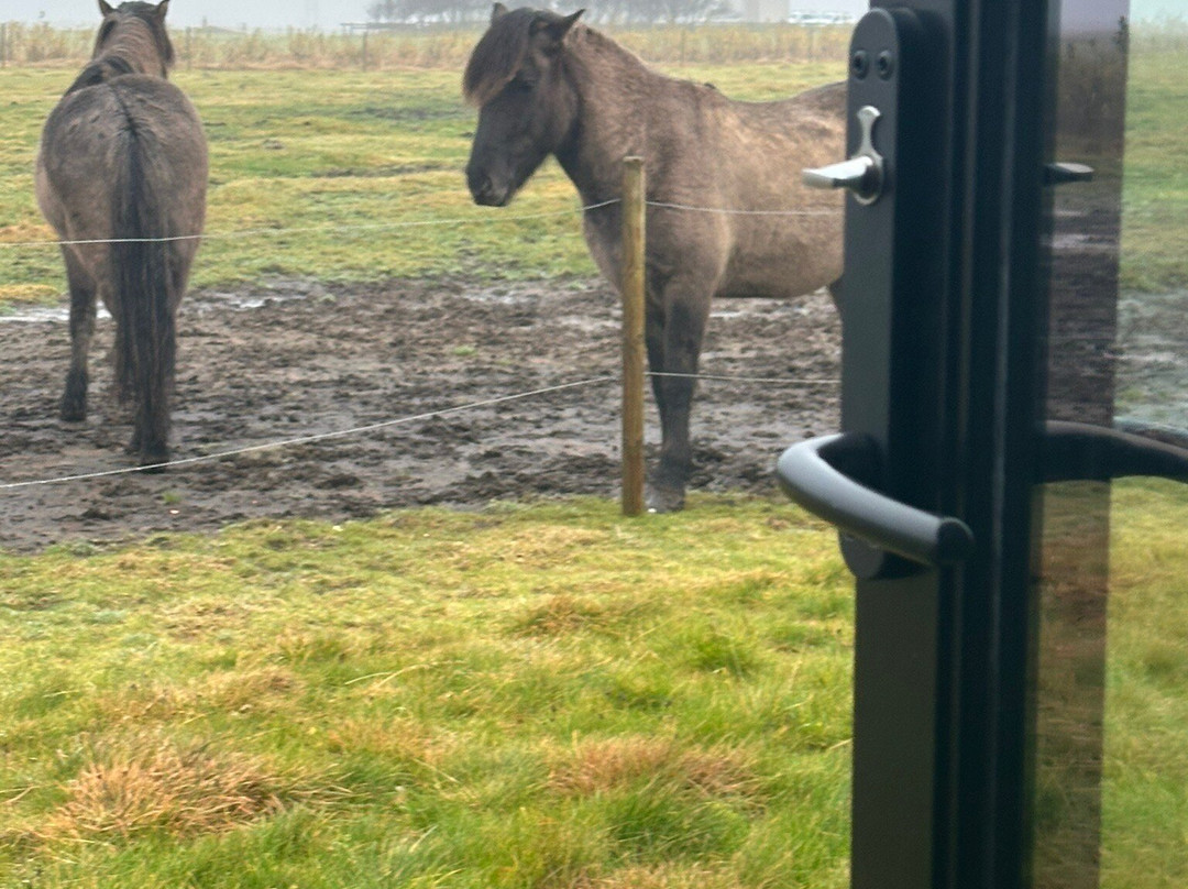 Mr. Iceland-莫斯费德斯拜尔必去景点