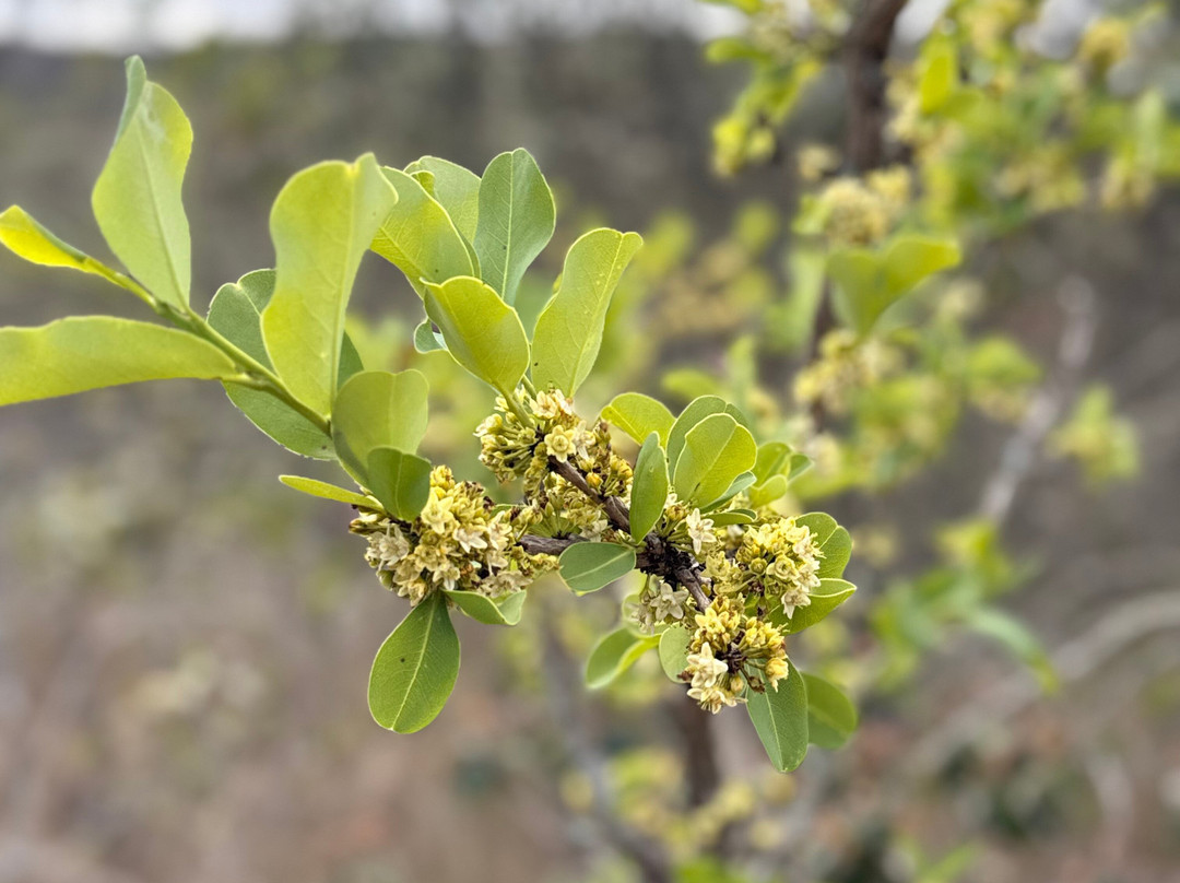 Poliana Turismo & Eventos-Carrancas必去景点