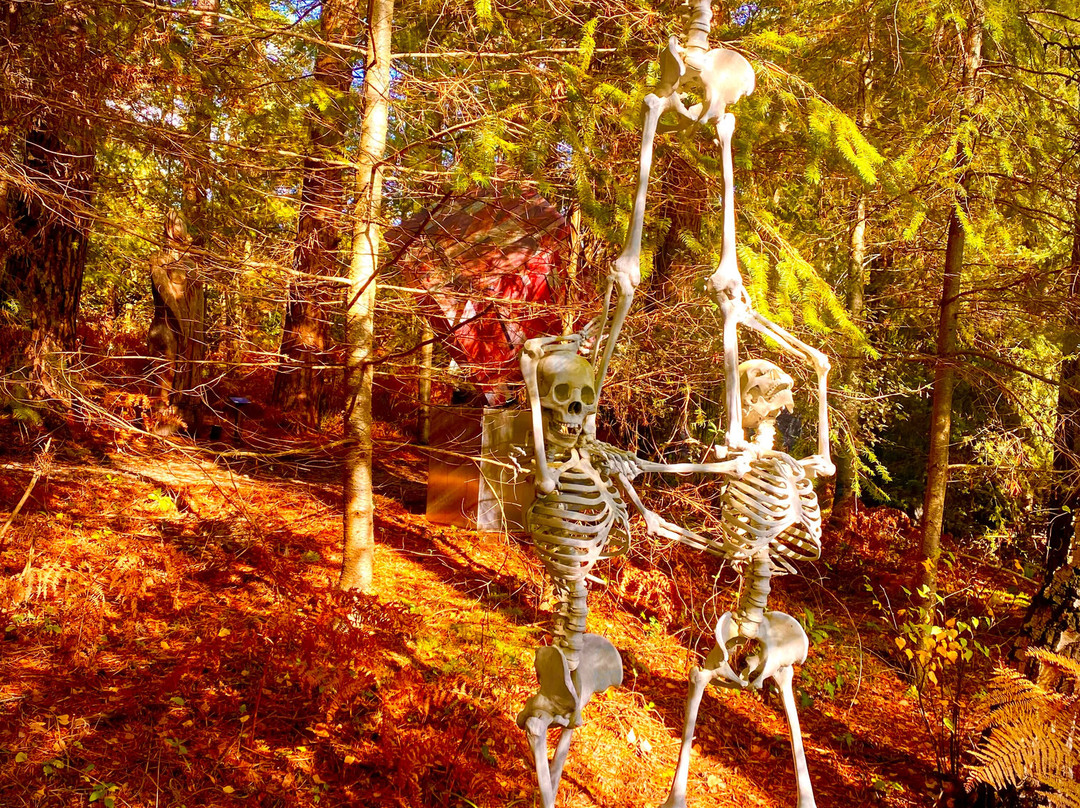 The Sculpture Park-Churt必去景点