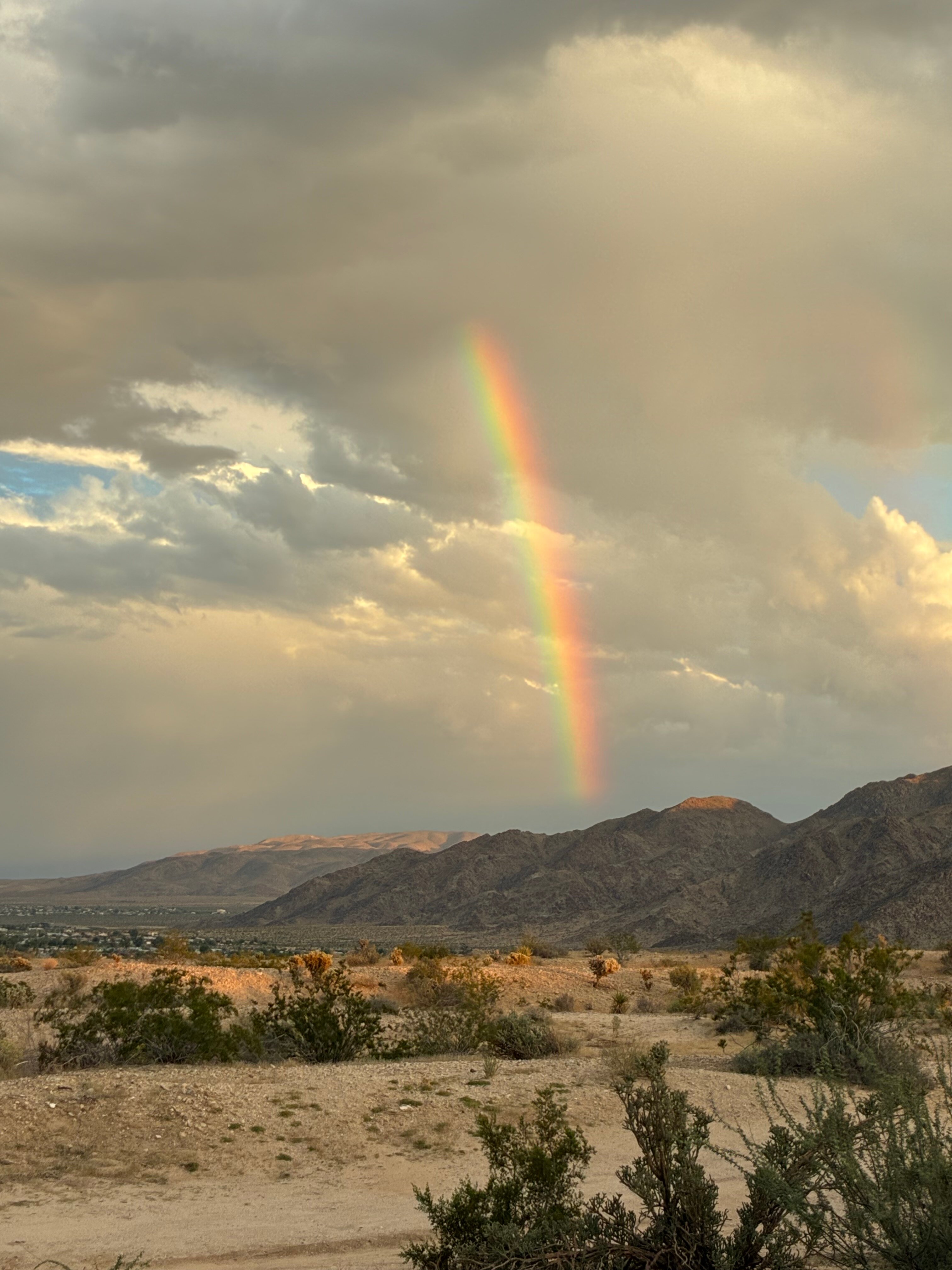 Harmony Motel-酒店景观