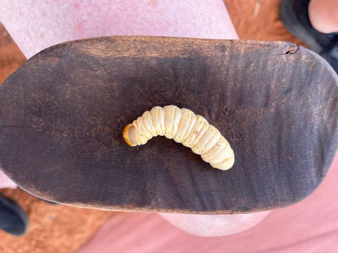 Karrke Aboriginal Cultural Experience & Tours-Kings Canyon必去景点