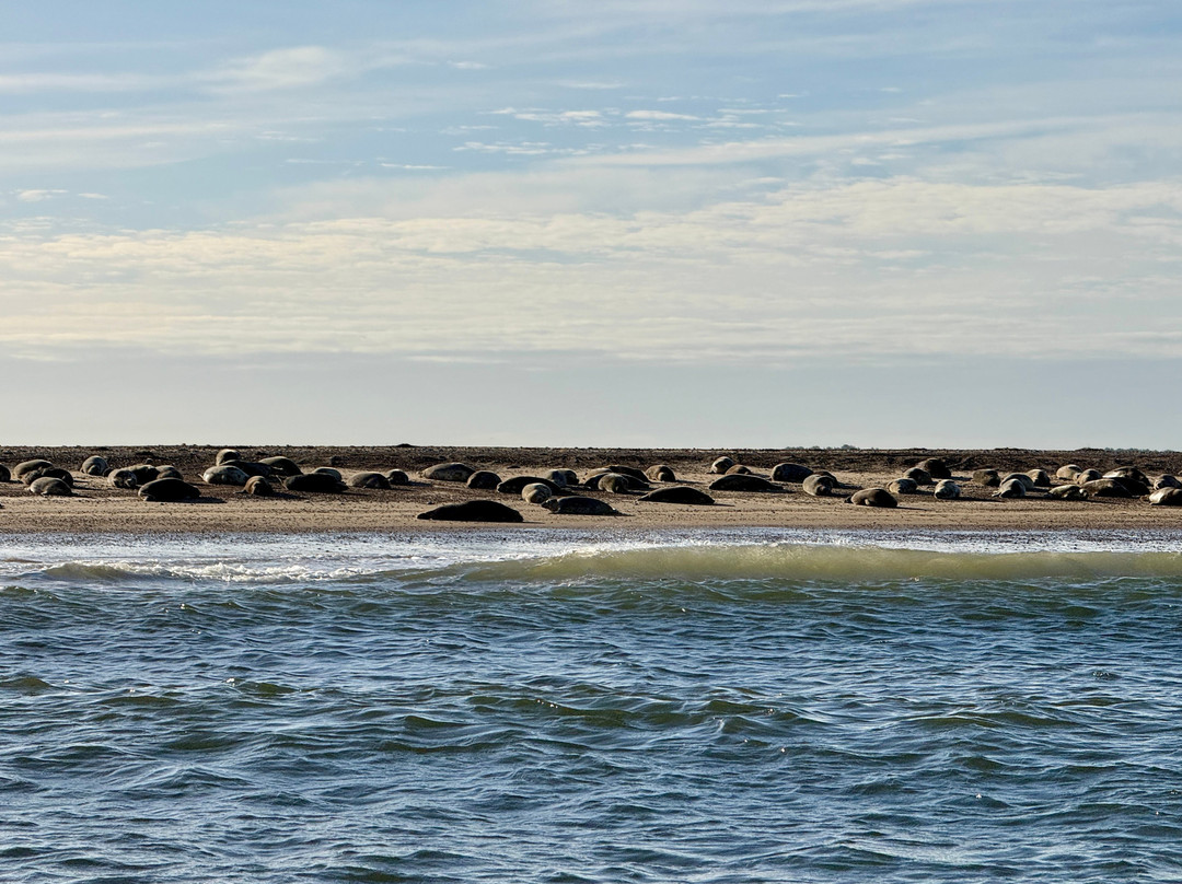 Bishops Boats Seal Trips-布莱克尼必去景点