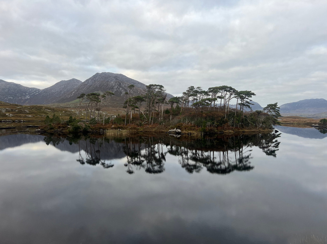 Connemara Adventure Tours-Leenane必去景点