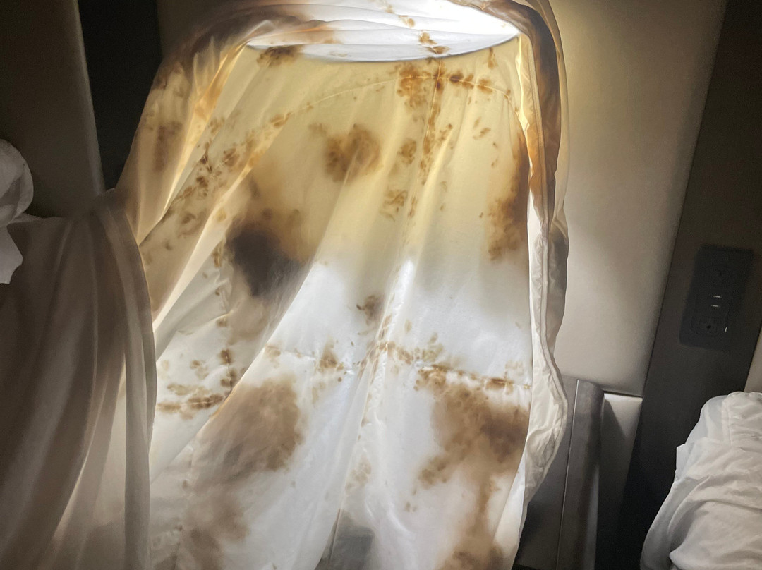 华盛顿北盖瑟斯堡希尔顿酒店主图