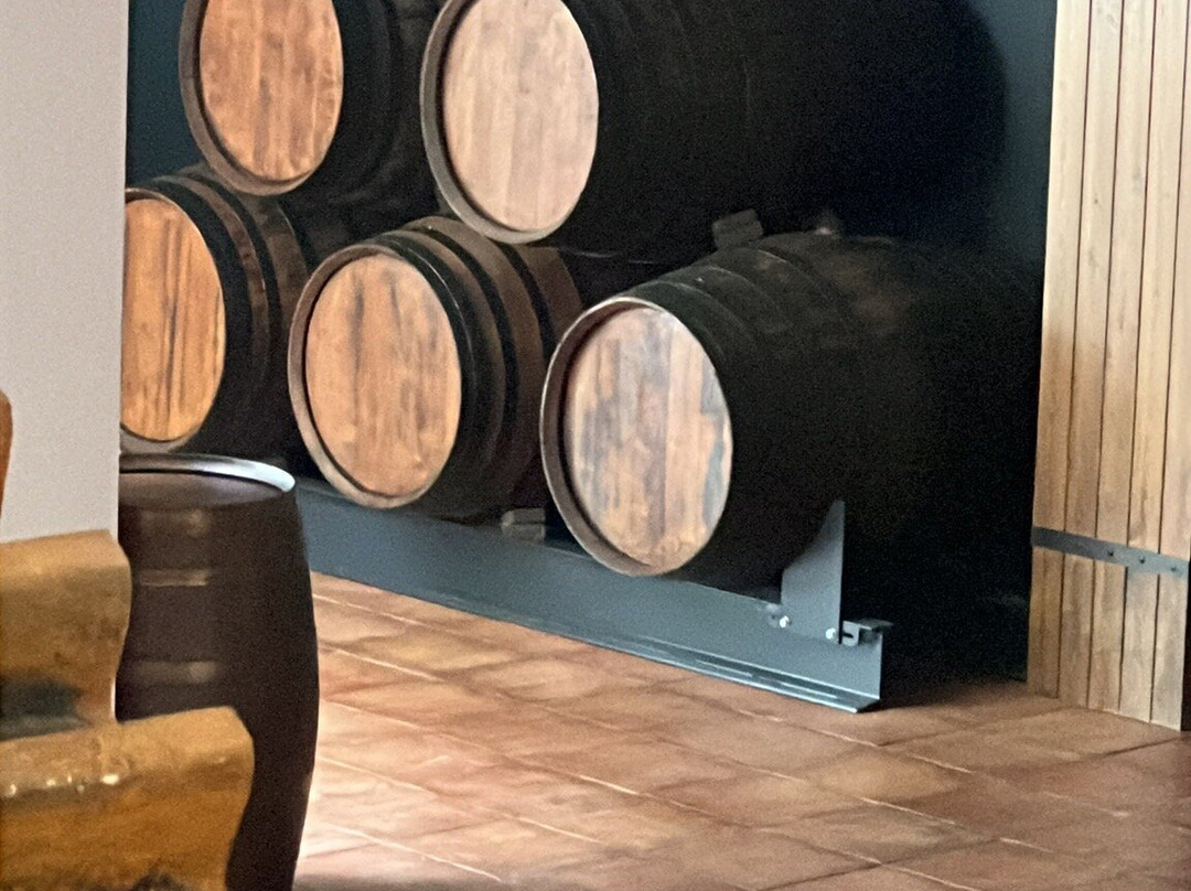 Ron Montero-莫特里尔必去景点