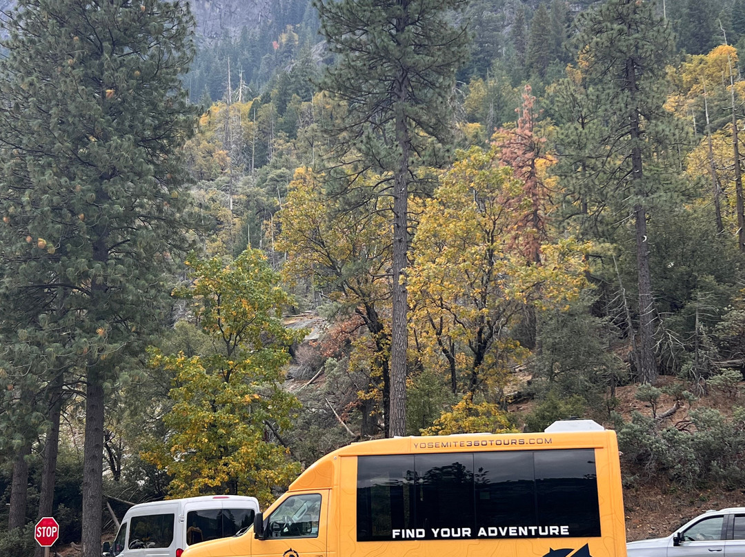 Yosemite 360 Tours-菲什营必去景点