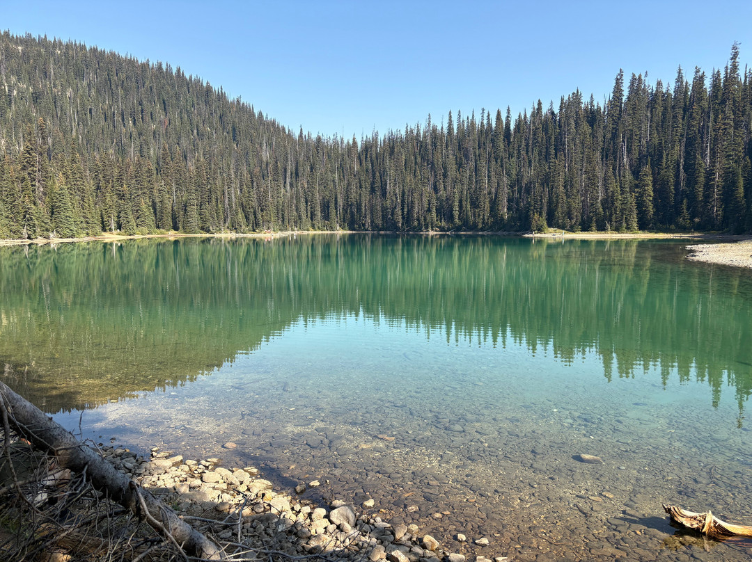 The Burgess Shale Geoscience Foundation-菲尔德必去景点