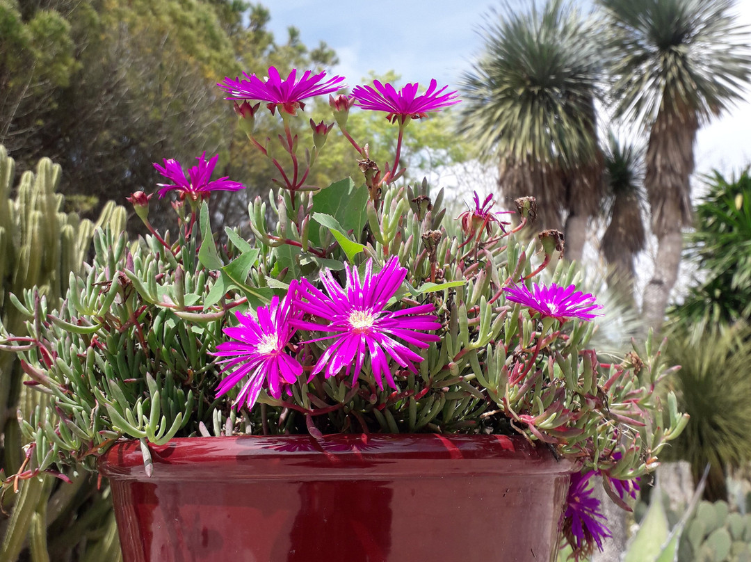 La Cutura Giardino botanico-Giuggianello必去景点