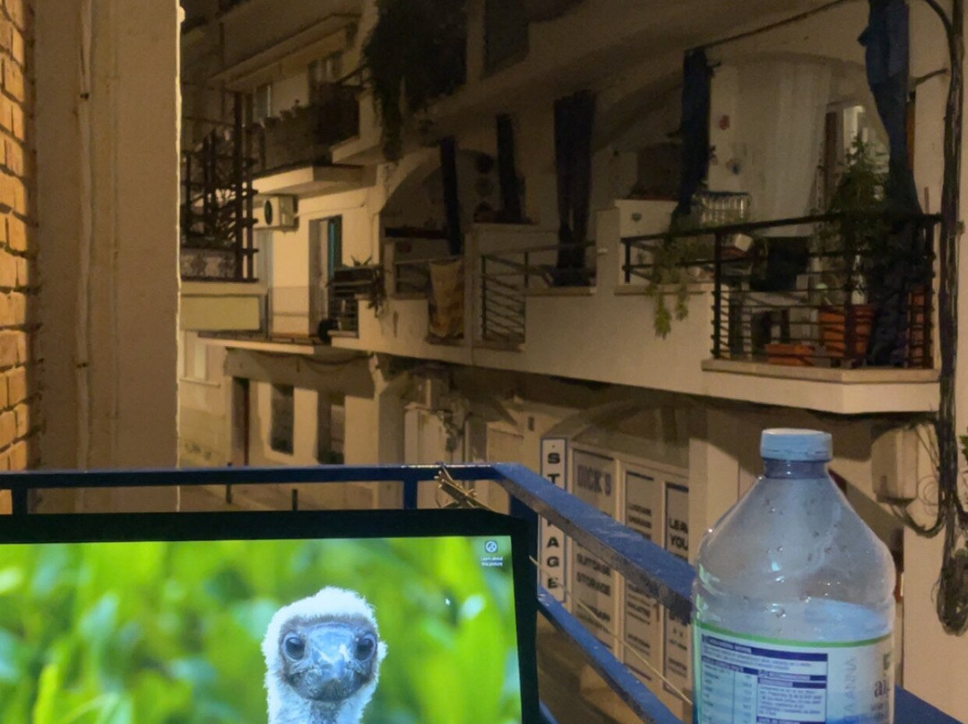 Hotel Alexandra主图