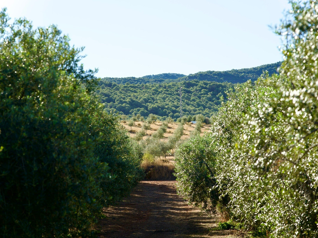 Quaryat Dillar-Dilar必去景点