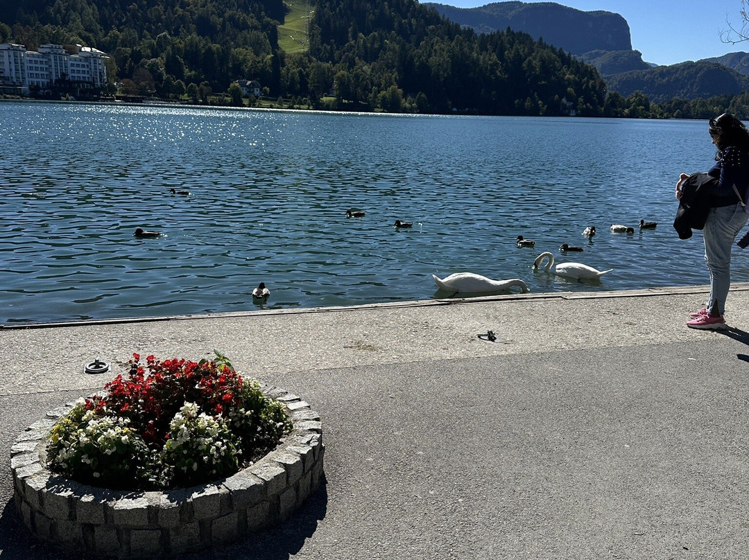 Zdraviliški Park (Spa Park)-布莱德必去景点