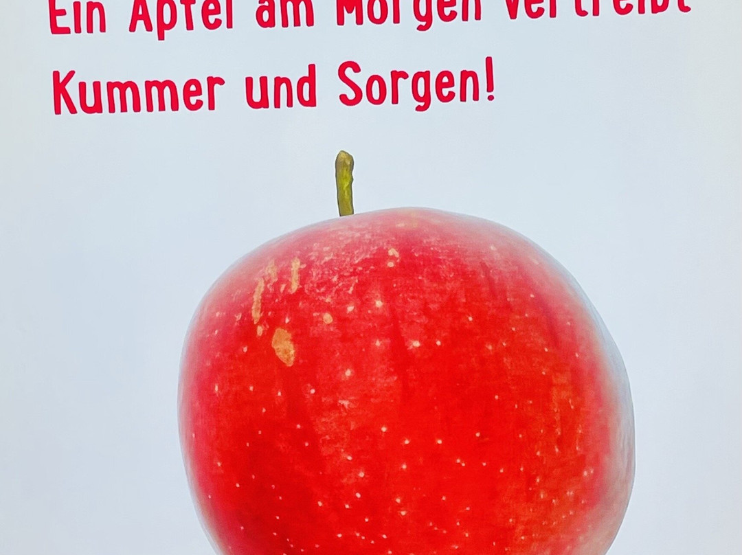 Ramseier Erlebniswelt-苏尔塞必去景点