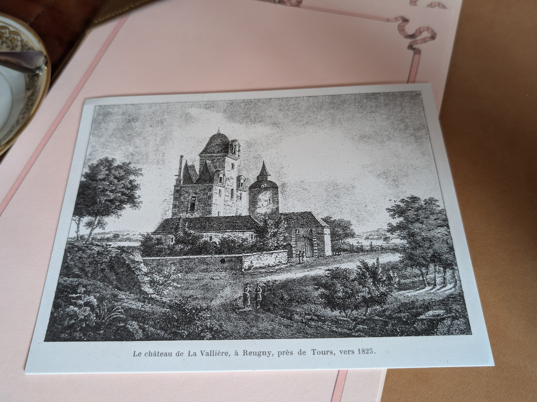 Château Louise De La Vallière Reugny主图