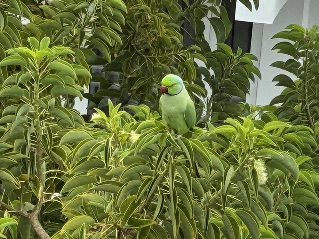 Hotel TRH Taoro Garden主图
