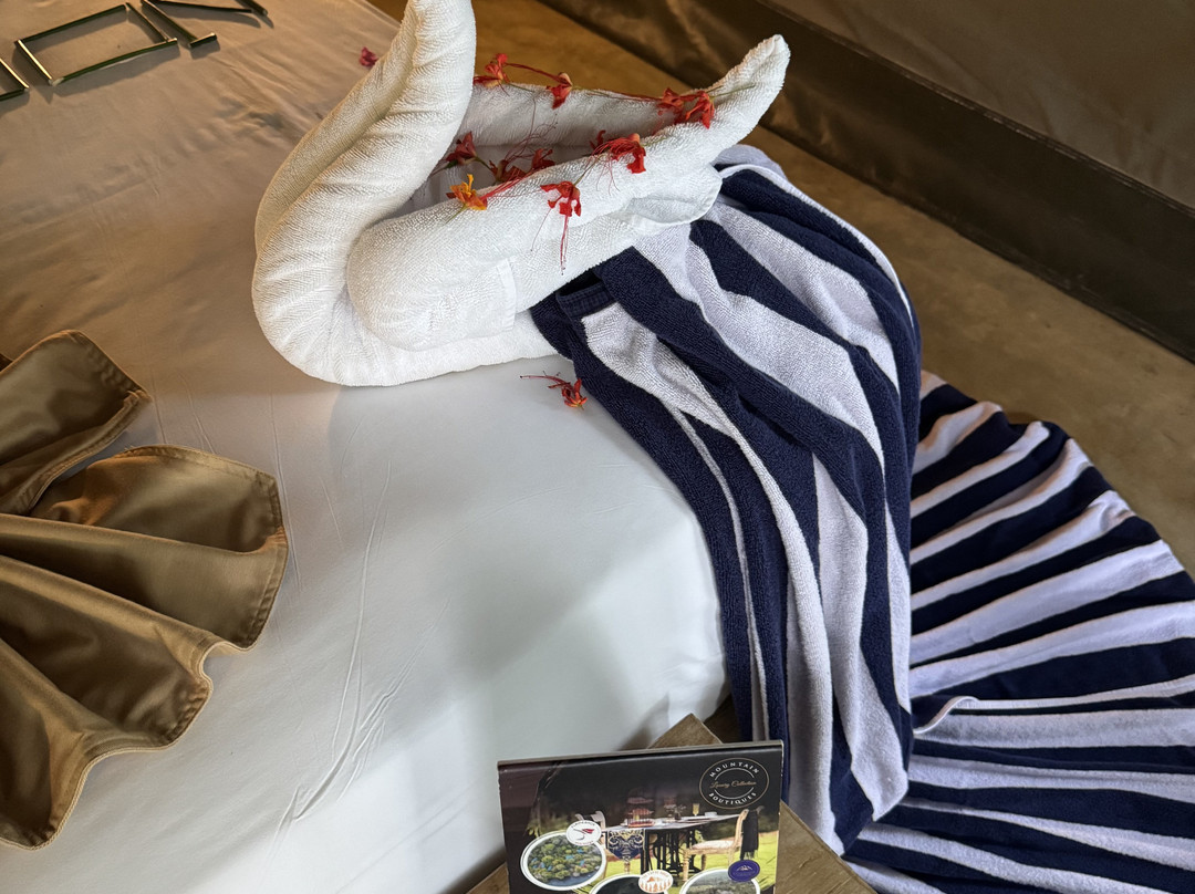 Flameback Eco Lodge主图