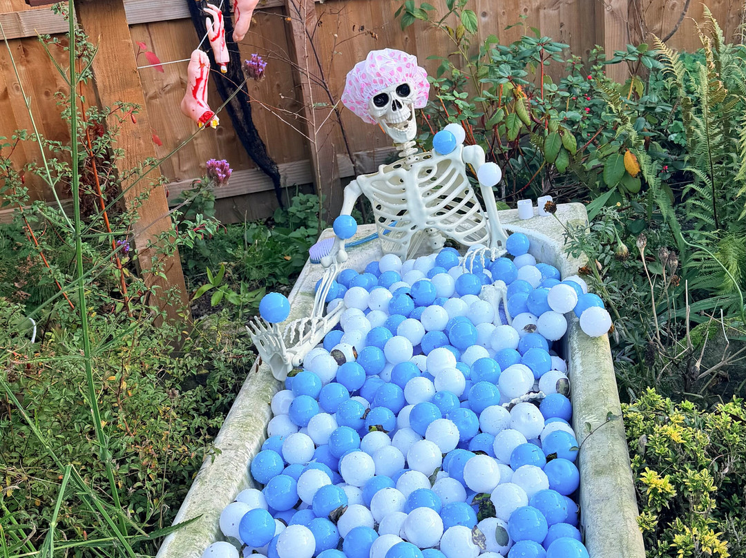 Matlock Farm Park-马特洛克必去景点