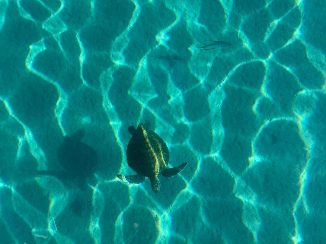 Agua Salada-La Ventana必去景点