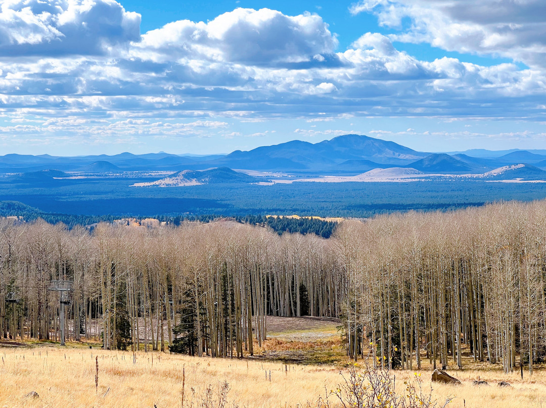Arizona Snowbowl-弗拉格斯塔夫必去景点